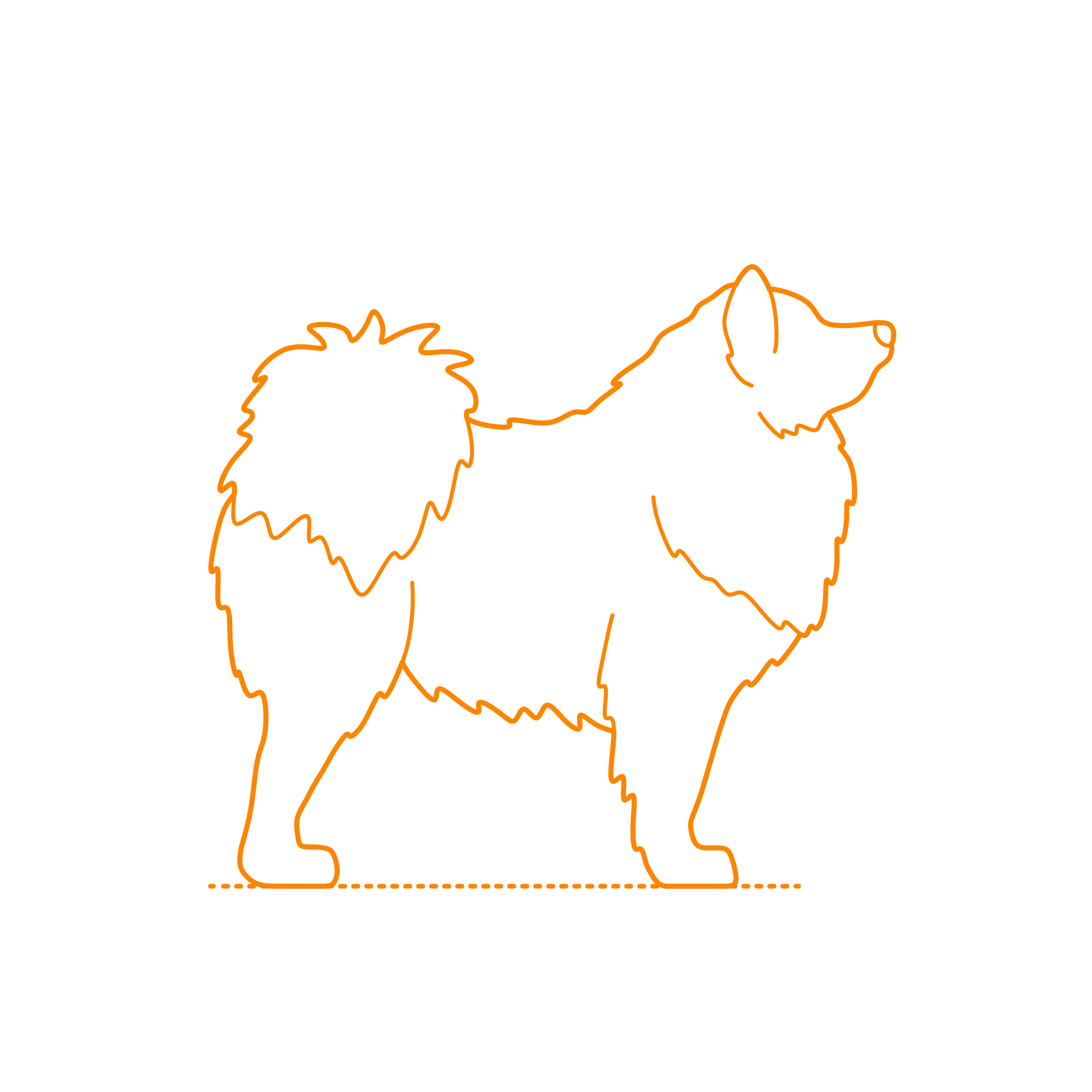 Animals Dogs Japanese Spitz Outline Svg File Free Vectors
